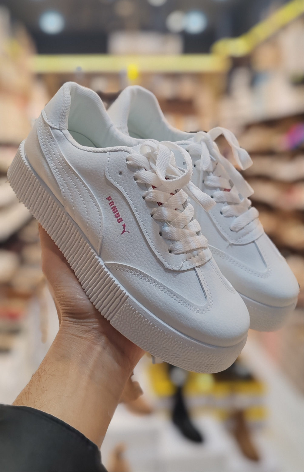 Puma