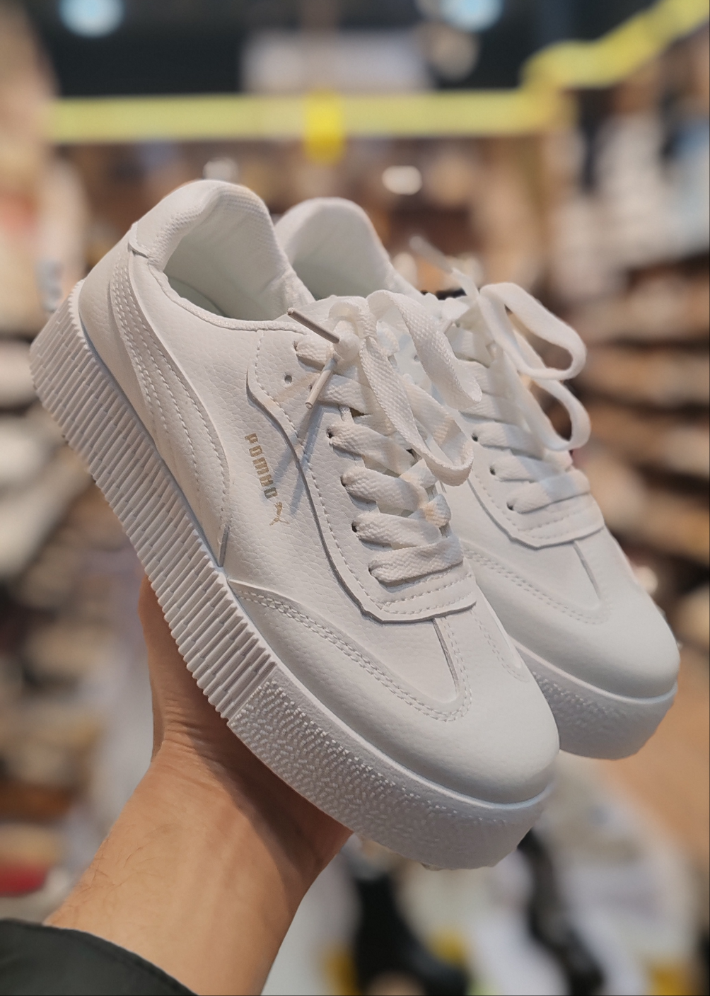 Puma