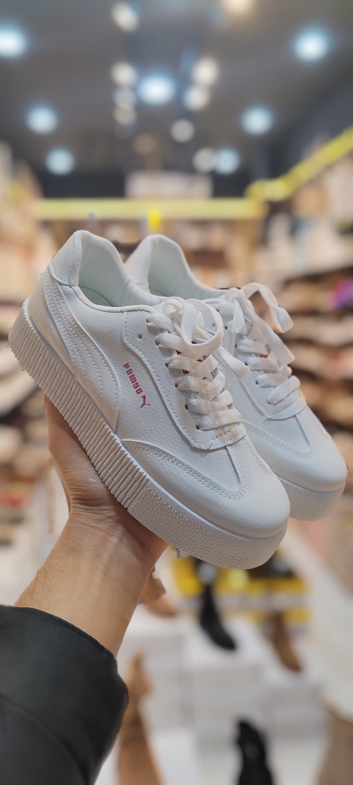 Puma